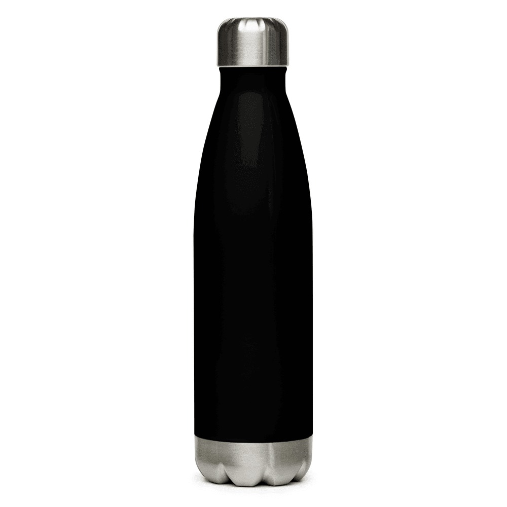 Stainless Steel Water Bottle, product photo