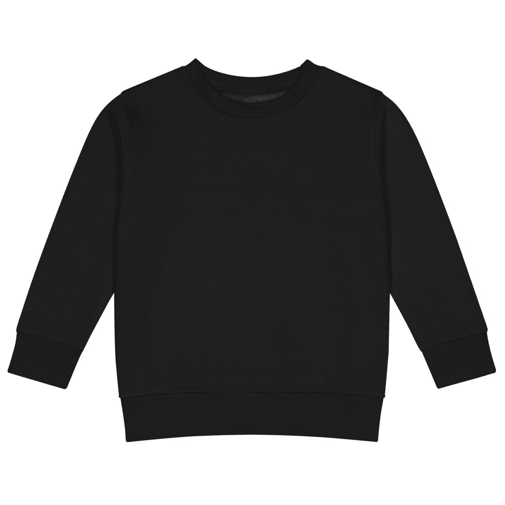 Kids Crew Neck Sweatshirt | Rabbit Skins 3317, product photo