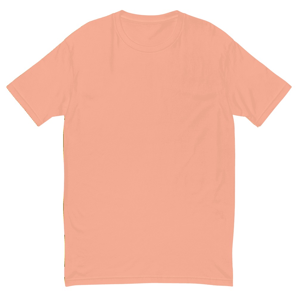 Men's Fitted T-Shirt | Next Level 3600, product photo