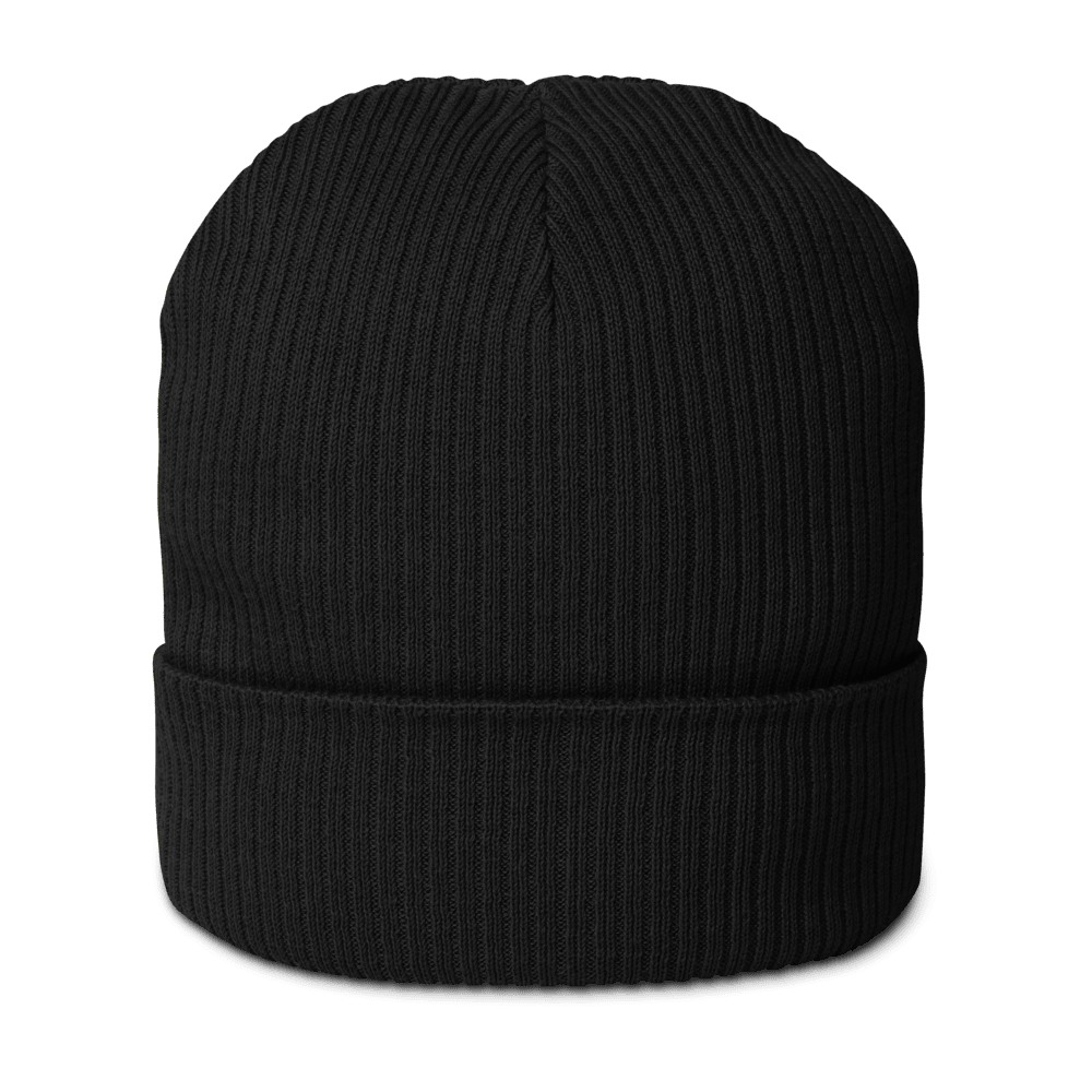 Organic Ribbed Beanie | Atlantis, product photo
