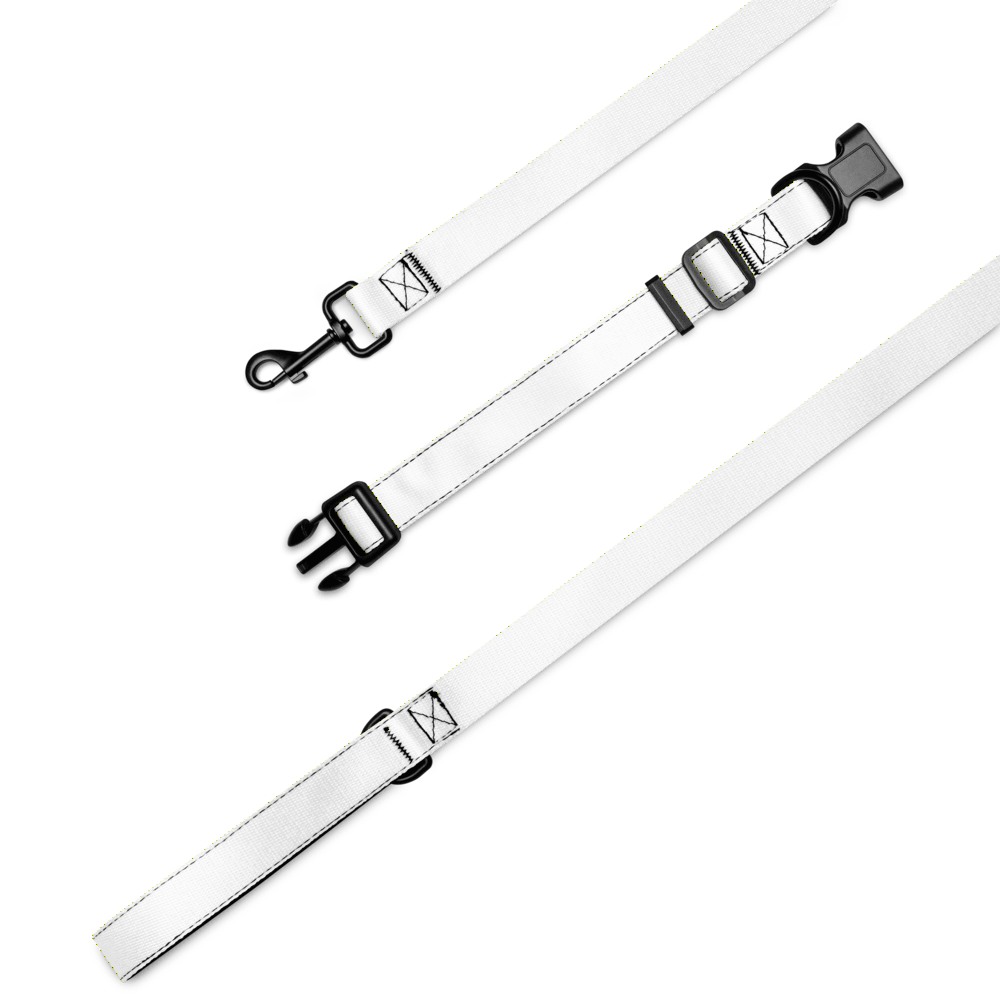 Pet Collar & Leash, product photo