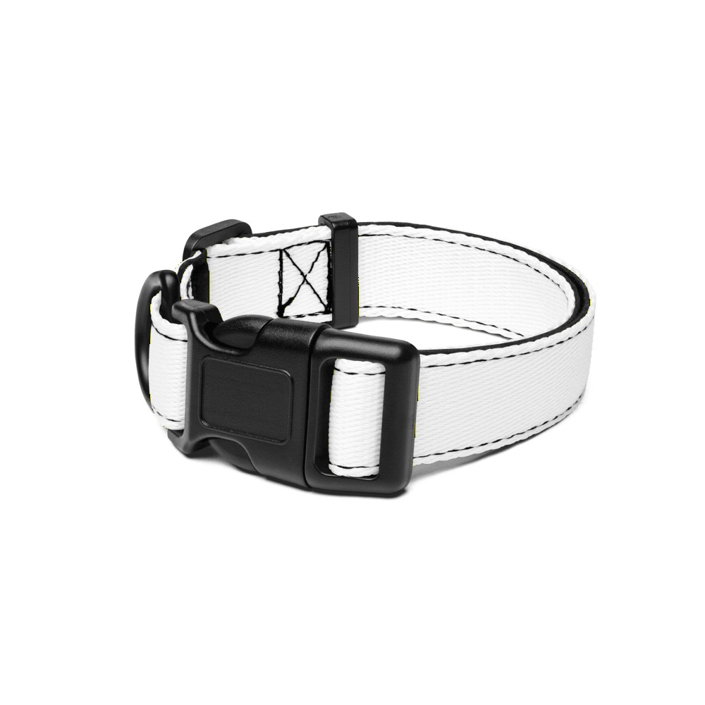 Pet Collar, product photo