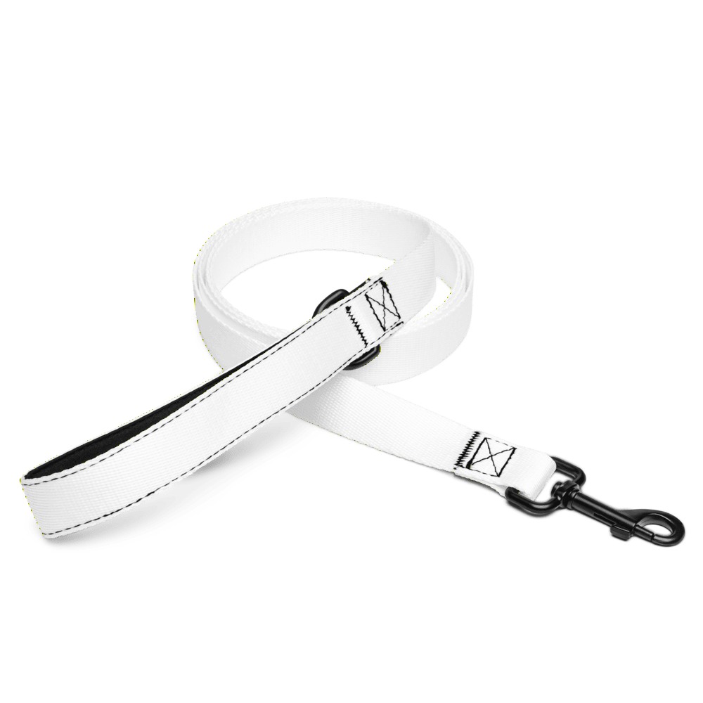 Pet Leash, product photo