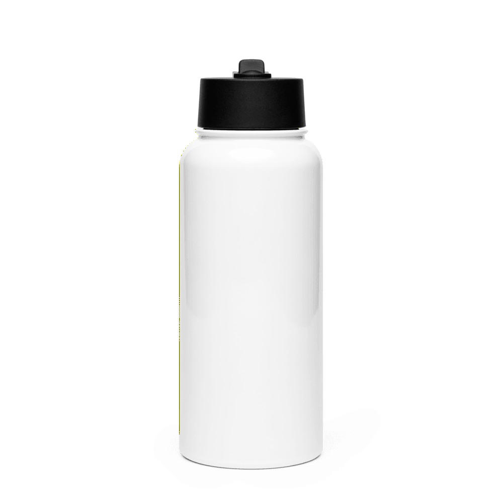 Stainless Steel Water Bottle with a Straw Lid, product photo