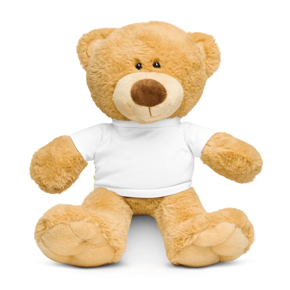Teddy Bear with a T-shirt, product photo
