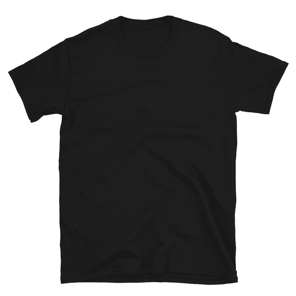 Unisex Basic Softstyle T-Shirt | Gildan 64000, product photo