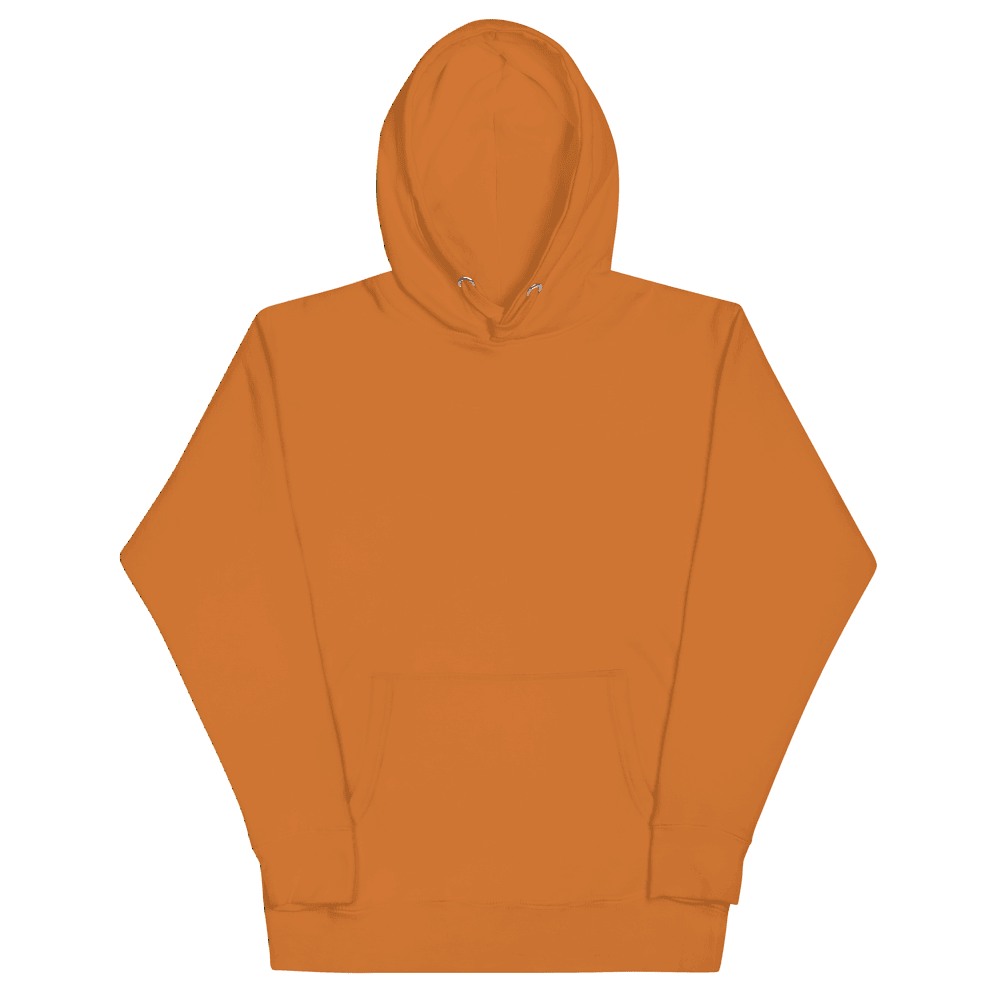 Unisex Premium Pullover Hoodie | Cotton Heritage M2580, product photo