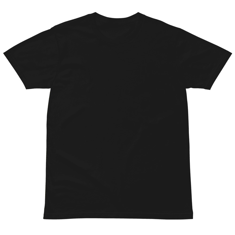 Unisex Premium T-Shirt | AS Colour 5001T, product photo