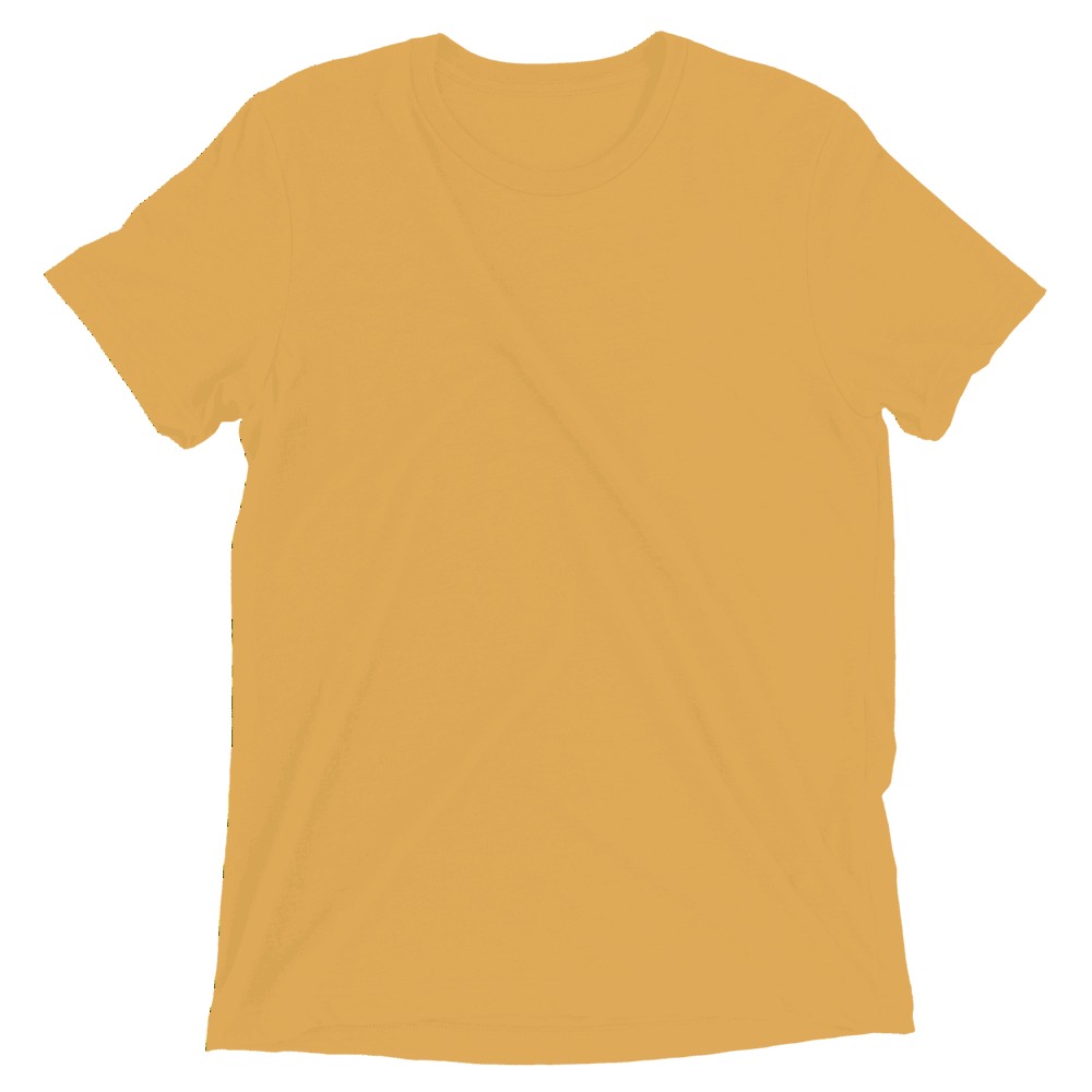 Unisex Tri-Blend T-Shirt | Bella + Canvas 3413, product photo