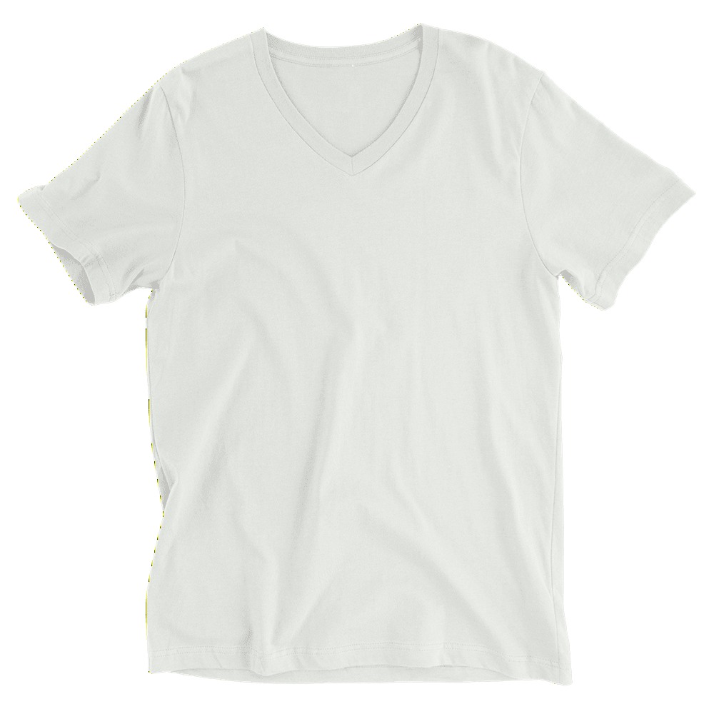 Unisex V-Neck Tee | Bella + Canvas 3005, product photo